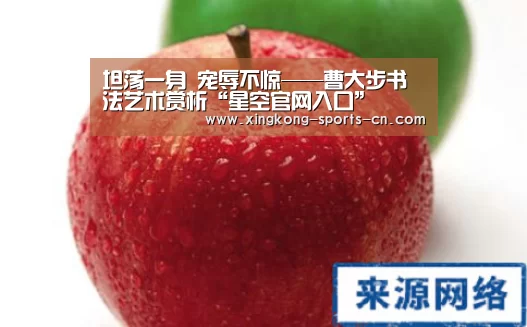 坦荡一身 宠辱不惊——曹大步书法艺术赏析“星空官网入口”(图2) 星空官网入口